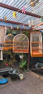 3 maal Vogel kooien voor één prijs, Dieren en Toebehoren, Ophalen, Zo goed als nieuw, Hout, Vogelkooi