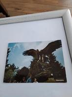 GANSEGEIER.  /GROTE. GIER. 1983, Ophalen of Verzenden, 1980 tot heden, Sterren en Beroemdheden