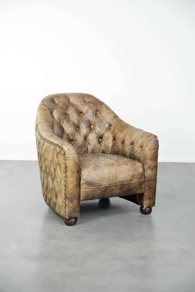 Rundleren chesterfield fauteuil met mooie kleurencombinatie, Ophalen, Gebruikt, ., Chesterfield, Engels