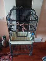 Vogelkooi, Dieren en Toebehoren, Vogels | Hokken en Kooien, Ophalen, Gebruikt, Metaal, Vogelkooi