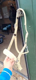 Eskadron halster geel cob, Dieren en Toebehoren, Ophalen of Verzenden, Overige soorten