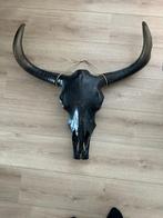 Buffel gewei, Ophalen of Verzenden, Zo goed als nieuw, Hert, Opgezet dier