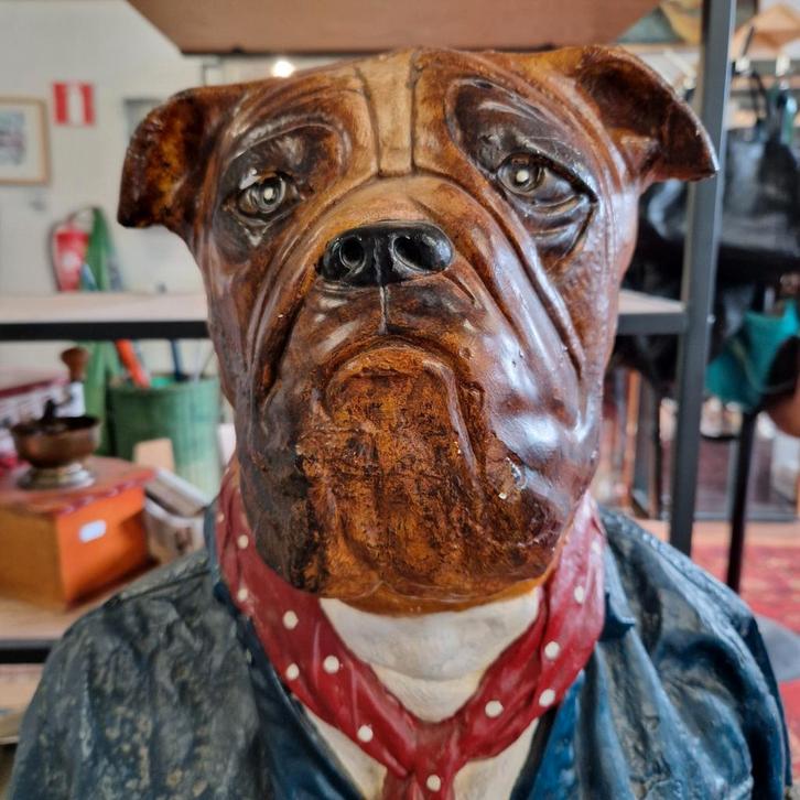 Vintage Cedixsept Bulldog Buste - Reclamebeeld Spijkerjas, Verzamelen, Beelden en Beeldjes, Dier, Ophalen