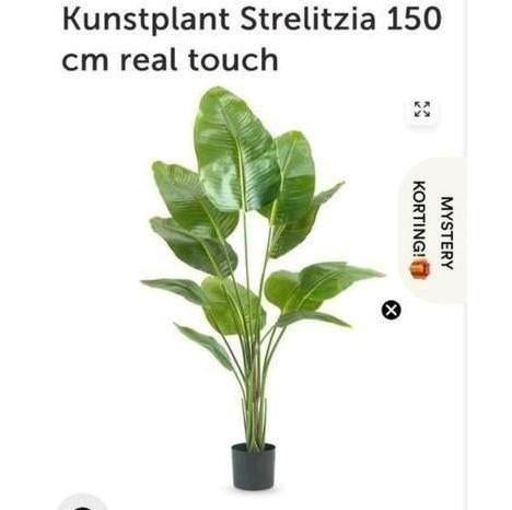Easyplants Kunstplant Strelitzia 150 cm Real Touch, Ophalen, Binnen, Groen, Onderhoudsvrij