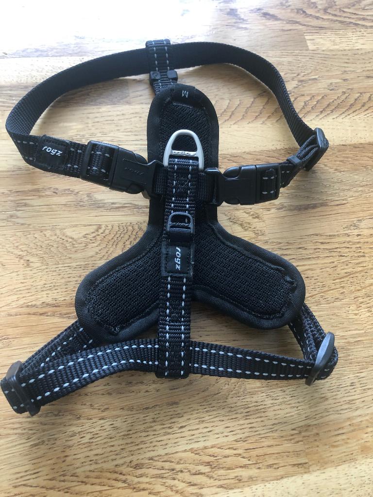 Harnas hond nieuwe, Ophalen of Verzenden, Nieuw