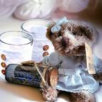 Rivièra maison big day bottle
& 2 RM VOTIVE & LOVELY BEAR, Ophalen of Verzenden