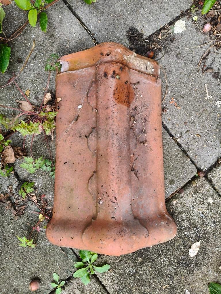 Nok vorsten Tuile du Nord pannen, Ophalen, Gebruikt, Steen of Klei, 15 m² of meer