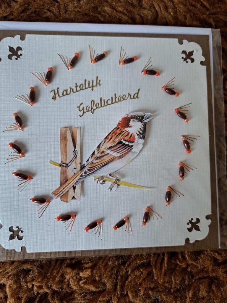 Geborduurde kaarten, Ophalen of Verzenden, Nieuw, Overige thema's