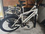 Mooie speedpedelec met weinig km's, Fietsen en Brommers, Elektrische fietsen, Ophalen of Verzenden, Zo goed als nieuw, Overige merken