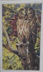 Bosuil (plaatje 5,5 x 9 cm.), Verzenden, Zo goed als nieuw, Plaatje