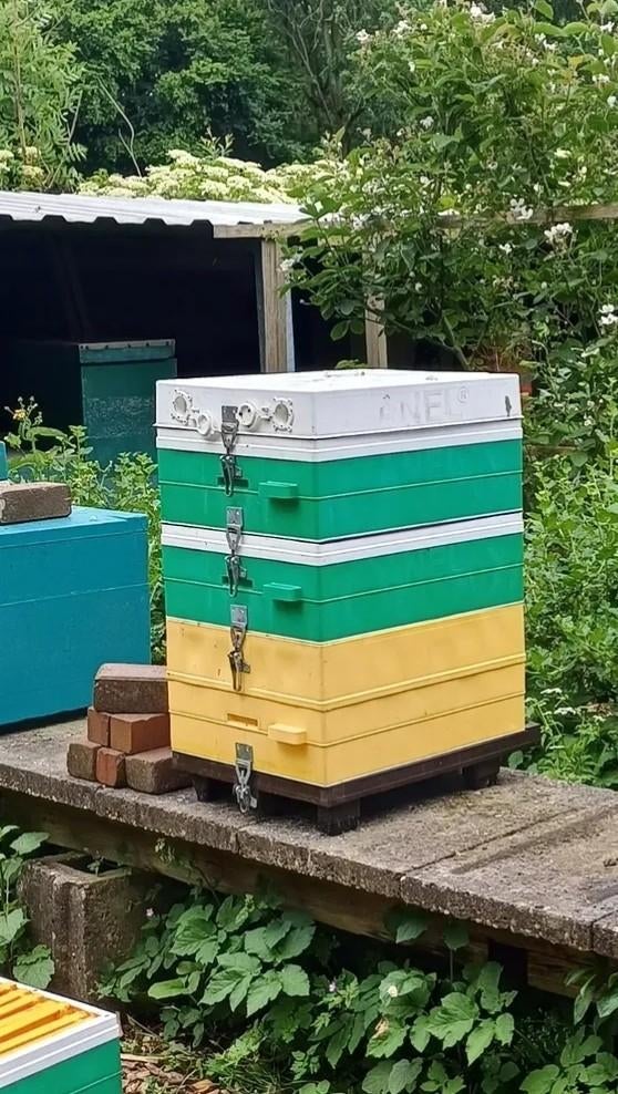 Te koop: 2x complete Langstroth bijenkasten (zonder bijen), Ophalen