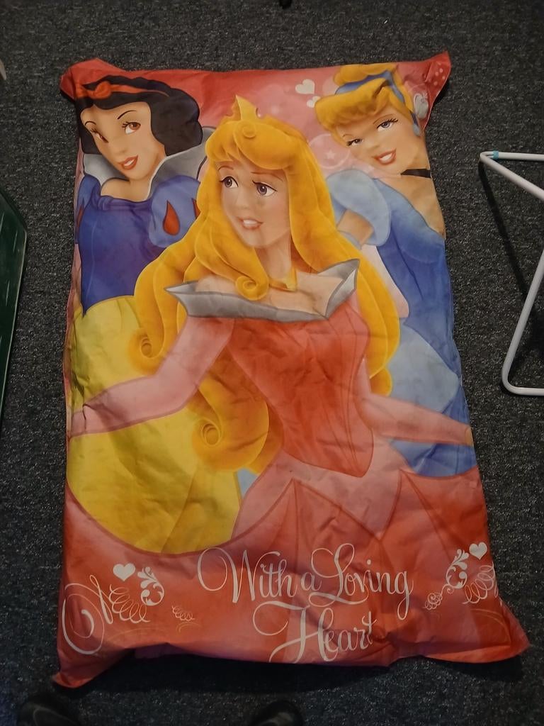 Zitzak met Disney prinsessen, Huis en Inrichting, Ophalen, Gebruikt, Overige kleuren, Zitzak