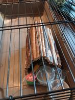 Konijnenhok, Dieren en Toebehoren, Gebruikt, Konijn, Hok, 75 tot 110 cm