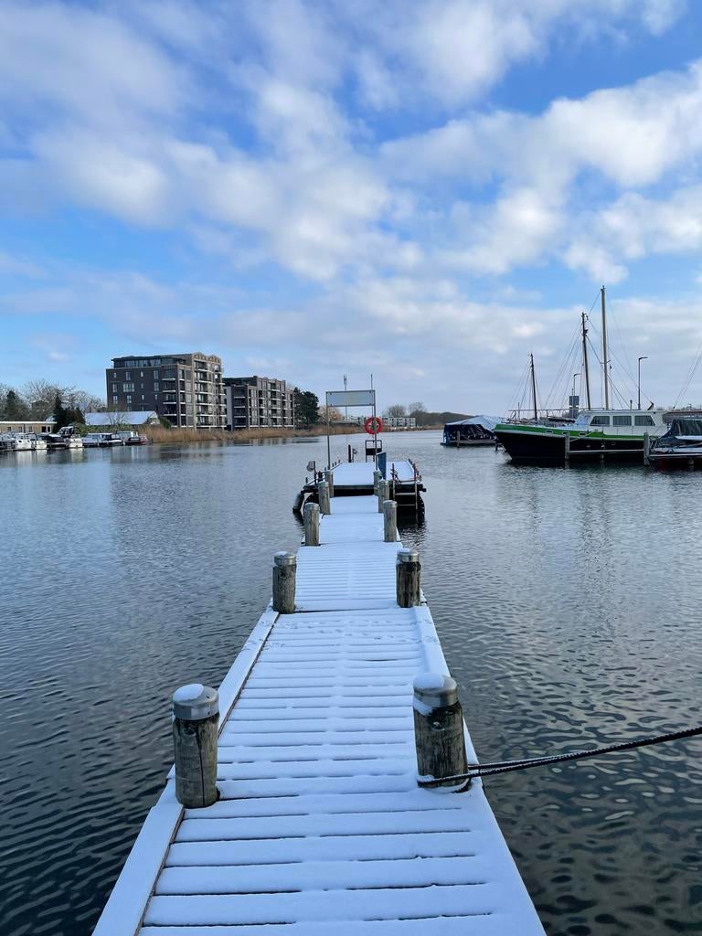 Plm 25 Palen van Cloeziana hout, 6 - 12 meter lang, Tuin en Terras, Ophalen, Gebruikt, Palen, Hardhout