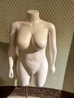 Plus size dames paspop, winkel inrichting, kleding verkoop, Ophalen, IL Fienile, Info@ilfienile.nl, Hoofdstraat 15 de steeg