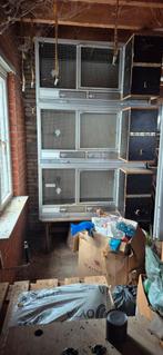 Broedkooien te koop, Ophalen