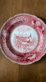 Spode England bord vogel bird plover, Antiek en Kunst, Ophalen of Verzenden