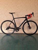 Nieuwe racefiets Optimum Ridley Campaganolo Chorus 12 SPEED, 28 inch, Carbon, Heren, Nieuw
