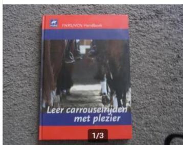 Leer carrouselrijden met plezier beschikbaar voor biedingen