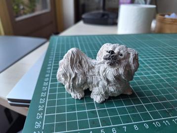 langharig wit hondje beschikbaar voor biedingen