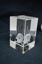 Doodskop laser 3D skull, presse-papier, paperweight, Ophalen of Verzenden