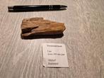 Fossiel versteend hout, Ophalen of Verzenden, Fossiel