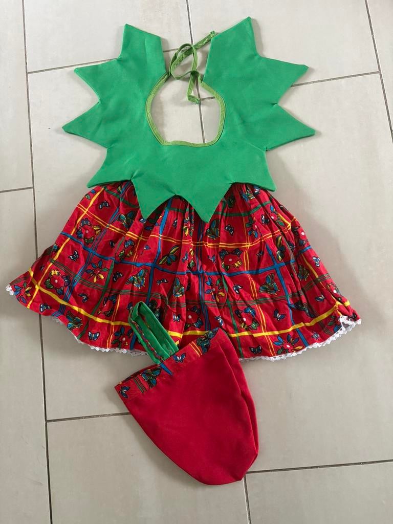 Carnaval, kabouter pakje voor meisjes, rokje, kraag en tasje, Ophalen of Verzenden, Nieuw, 110 t/m 116, Meisje