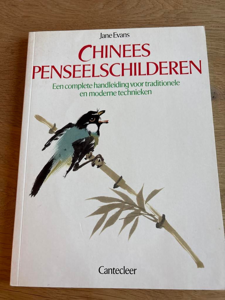 Chinees penseelschilderen - Jane Evans, Ophalen of Verzenden, Zo goed als nieuw, Overige onderwerpen