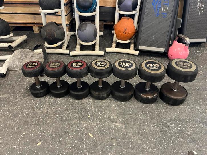 Rubberen dumbells 1 x 12-14-16-18-22-26-30 kg gewichten, Sport en Fitness, Fitnessmaterialen, Gebruikt, Dumbbell, Ophalen