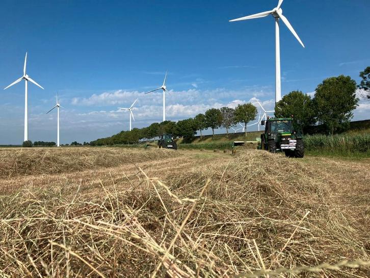 Paardenhooi voordroog en strooisels, Dieren en Toebehoren, Dierenvoeding, Ophalen of Verzenden
