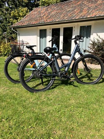 2 x elektrische fiets A dece oasis beschikbaar voor biedingen