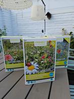 Bloemenzaad - 3 Extra Grote Pakken - 150m2, Tuin en Terras, Ophalen of Verzenden, Gehele jaar, Volle zon, Zaad