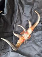 Unieke Bull Horn Kapstok, Ophalen of Verzenden