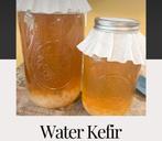 Waterkefir en Komboecha het probiotica drankje, Ophalen of Verzenden, Nieuw, Poeder of Drank