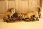 Taxidermie 2 opgezette vossen diorama, Verzamelen, Ophalen, Gebruikt, Vogel, Opgezet dier