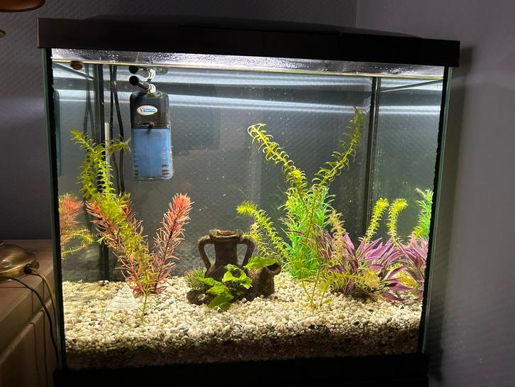 Starters Aquarium, Dieren en Toebehoren, Vissen | Aquaria en Toebehoren, Zo goed als nieuw, Leeg aquarium, Ophalen
