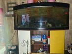 Gratis Juwel vision 450 met meubel etc opknapper, Ophalen, Gebruikt, Gevuld zoetwateraquarium