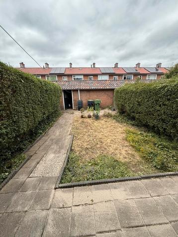 Tuin reiniging / onkruid verwijderen / snoeien beschikbaar voor biedingen