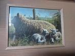 Schaap met lammetjes, Huis en Inrichting, Woonaccessoires | Schilderijen, Tekeningen en Foto's, Ophalen of Verzenden, Zo goed als nieuw
