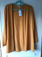 vest grote maten, Kleding | Dames, Grote Maten, Nieuw, Ophalen of Verzenden, Paprika, Geel