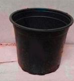 Kweekpotten plantenpotten bloempotten 1,5 liter, Kunststof, Gebruikt, Rond, Ophalen of Verzenden