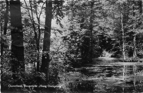 (387-054-033) Oosterbeek Bosgezicht Hoog Oorsprong, Verzamelen, Ansichtkaarten | Nederland, Gelderland, Voor 1920, Verzenden