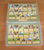 complete leesplankje puzzel aap noot mies 26 stukjes, Ophalen of Verzenden, 10 tot 50 stukjes, 6 jaar of ouder