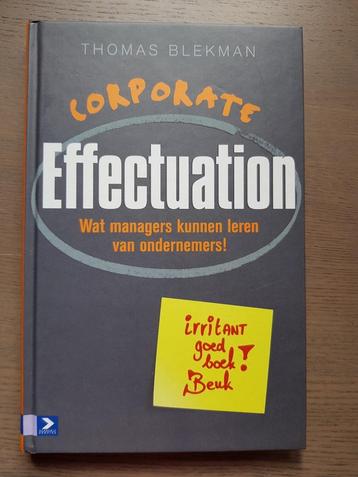 Thomas Blekman - Corporate Effectuation
