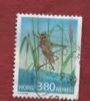 Fauna - Dieren - Krekel - Noorwegen - 380 - jr.'98 - gebr, Ophalen of Verzenden, Gestempeld, Dier of Natuur