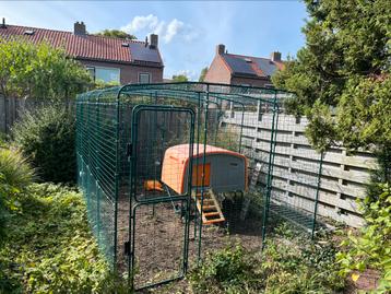 Omlet kippenren 3m x 4m x 2m beschikbaar voor biedingen