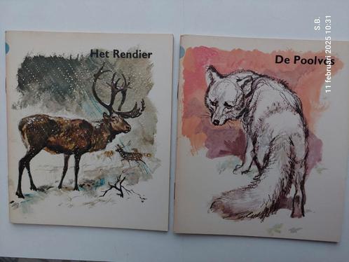 6 boekjes, Dieren uit koude streken., Boeken, Kinderboeken | Jeugd | onder 10 jaar, Gelezen, Non-fictie, Ophalen of Verzenden