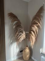 Pluimen met vaas, Overige materialen, Overige kleuren, Ophalen of Verzenden, Zo goed als nieuw