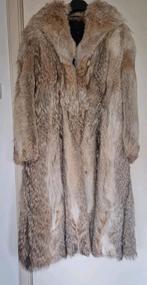 Damesjas, Ophalen, Zo goed als nieuw, Maat 42/44 (L)