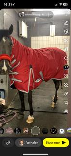 300 Grams paarden deken, Ophalen of Verzenden, Zo goed als nieuw, Deken